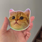 Couple Holographic Stickers