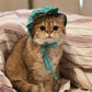 Bonnet