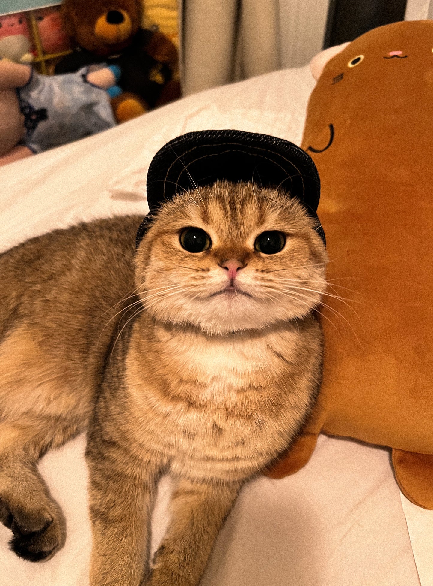 Denim Hat