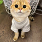 White Turtleneck