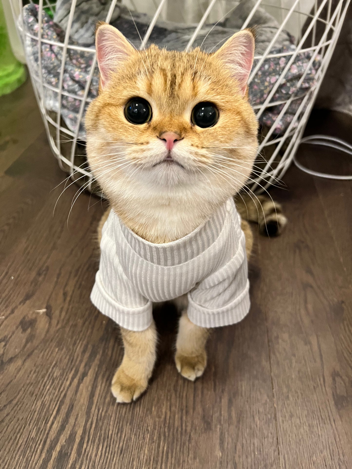 White Turtleneck