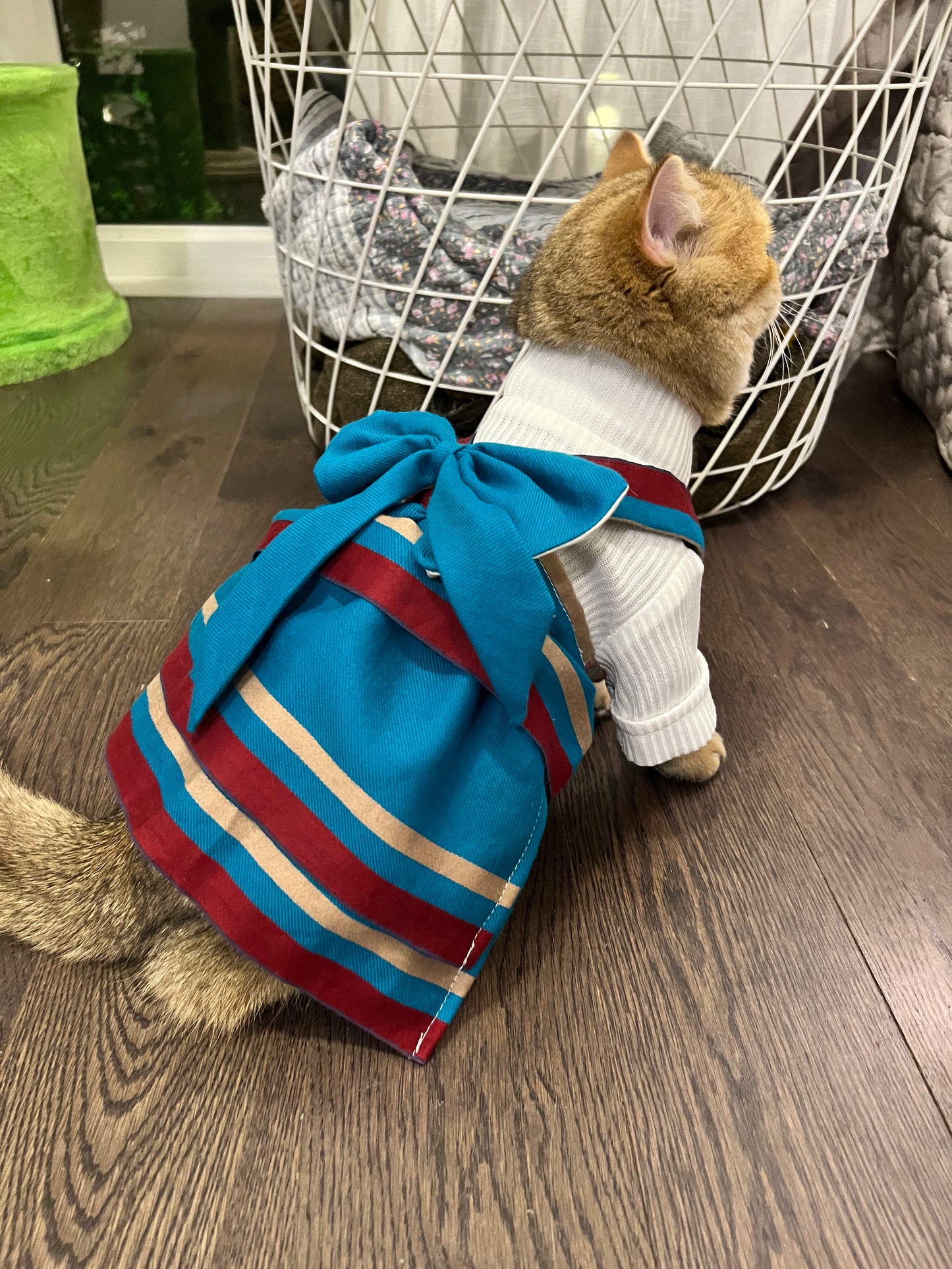 Custom Outfit