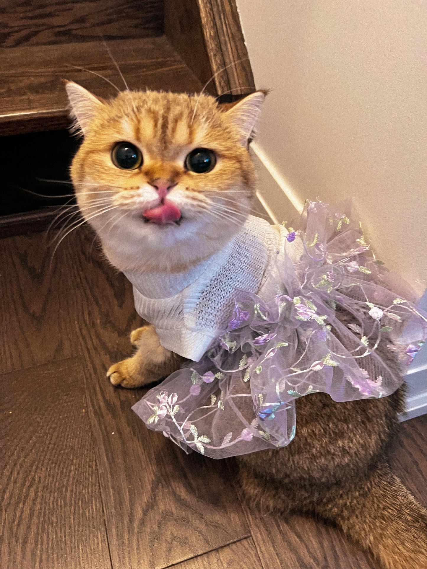 Lace Tutu