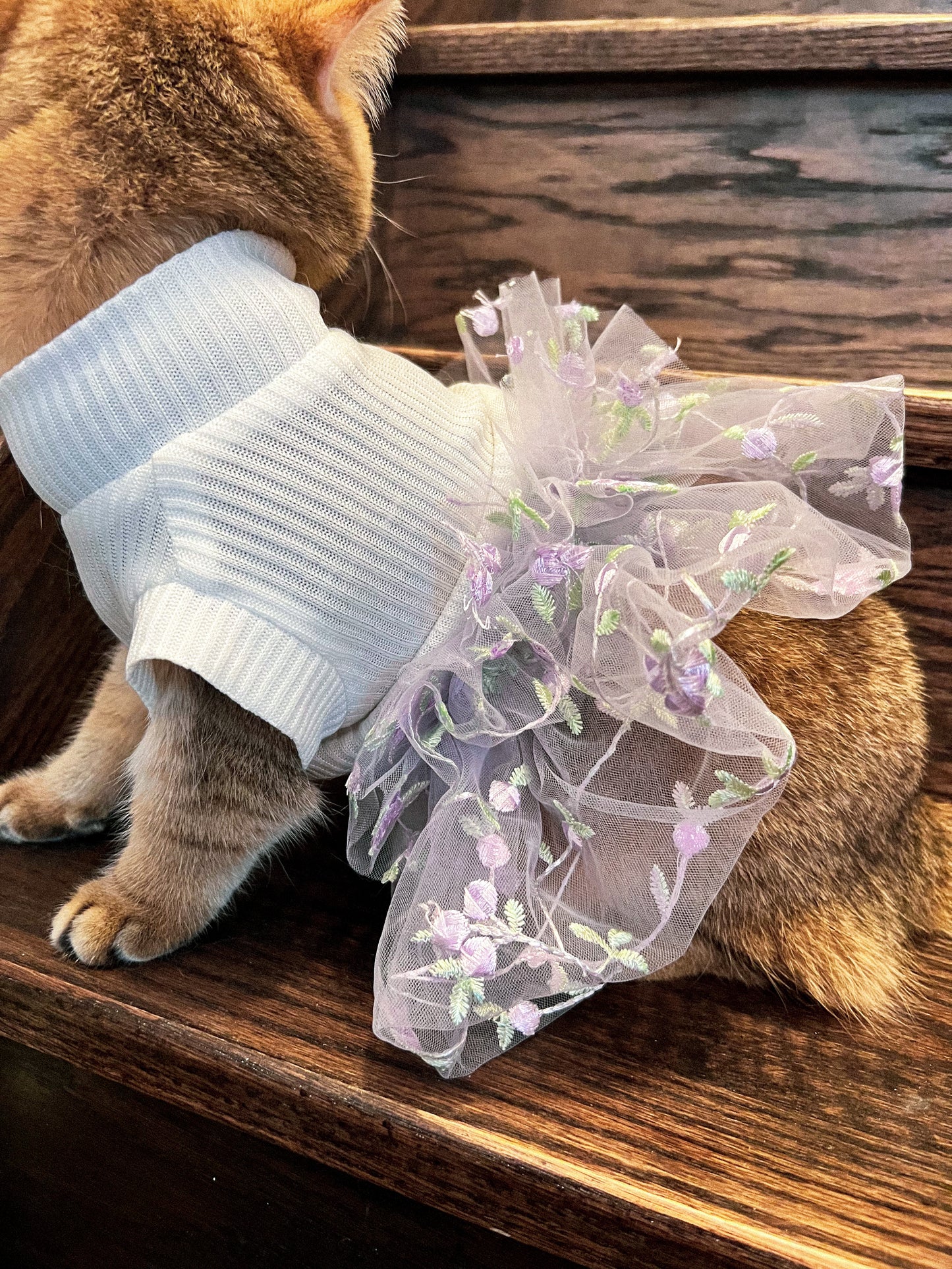 Lace Tutu