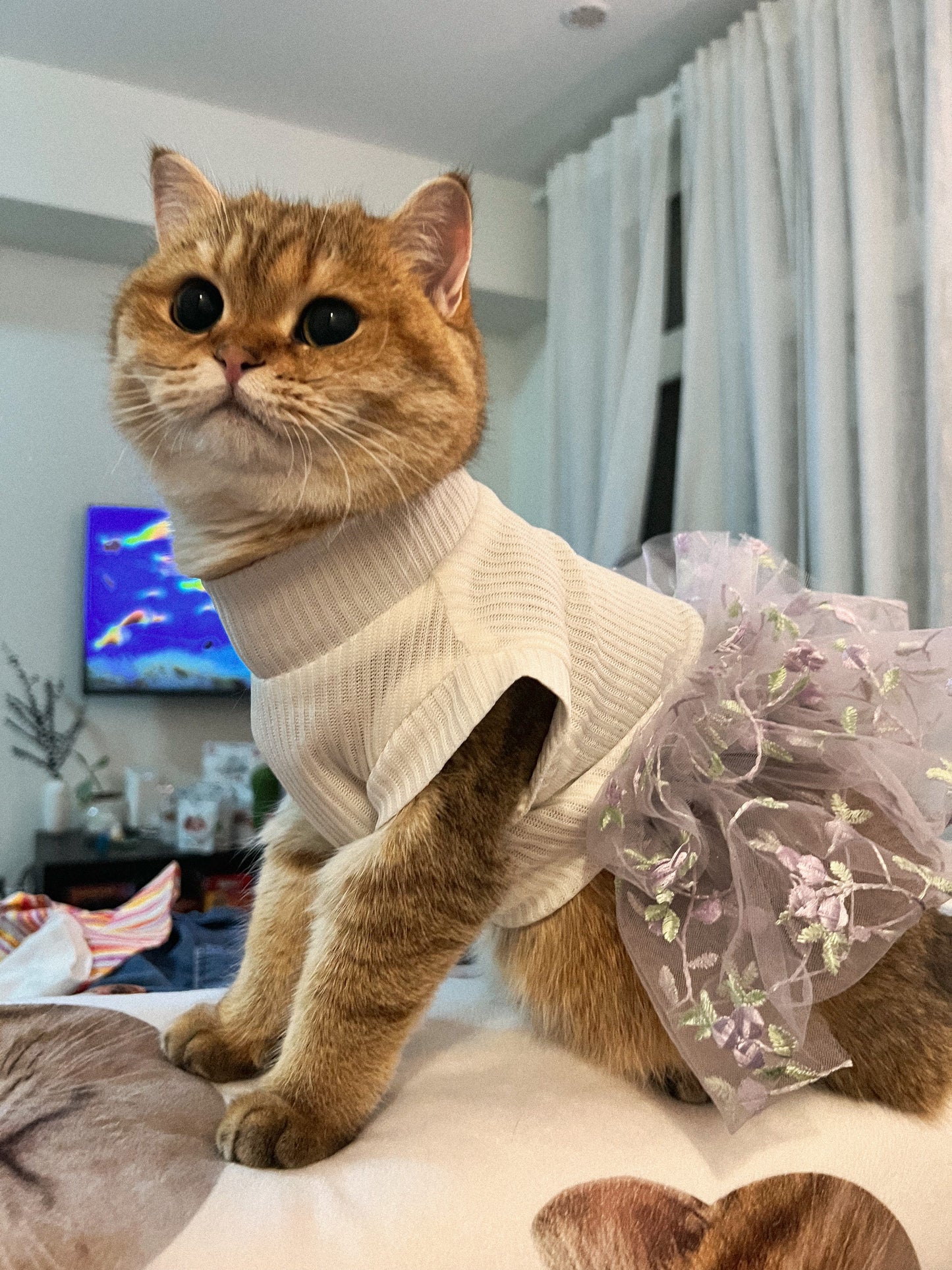 Lace Tutu