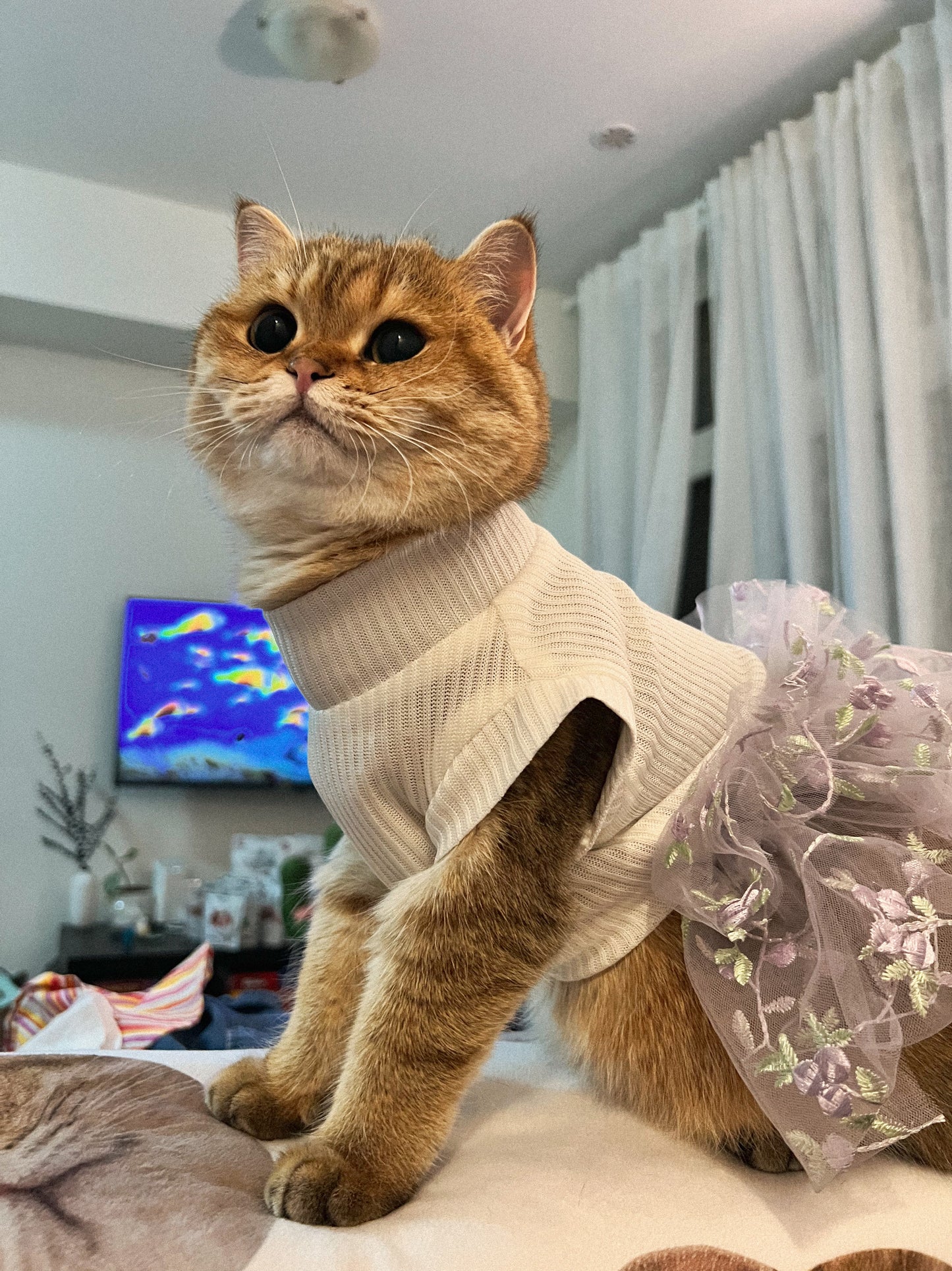Lace Tutu