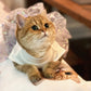 Lace Tutu