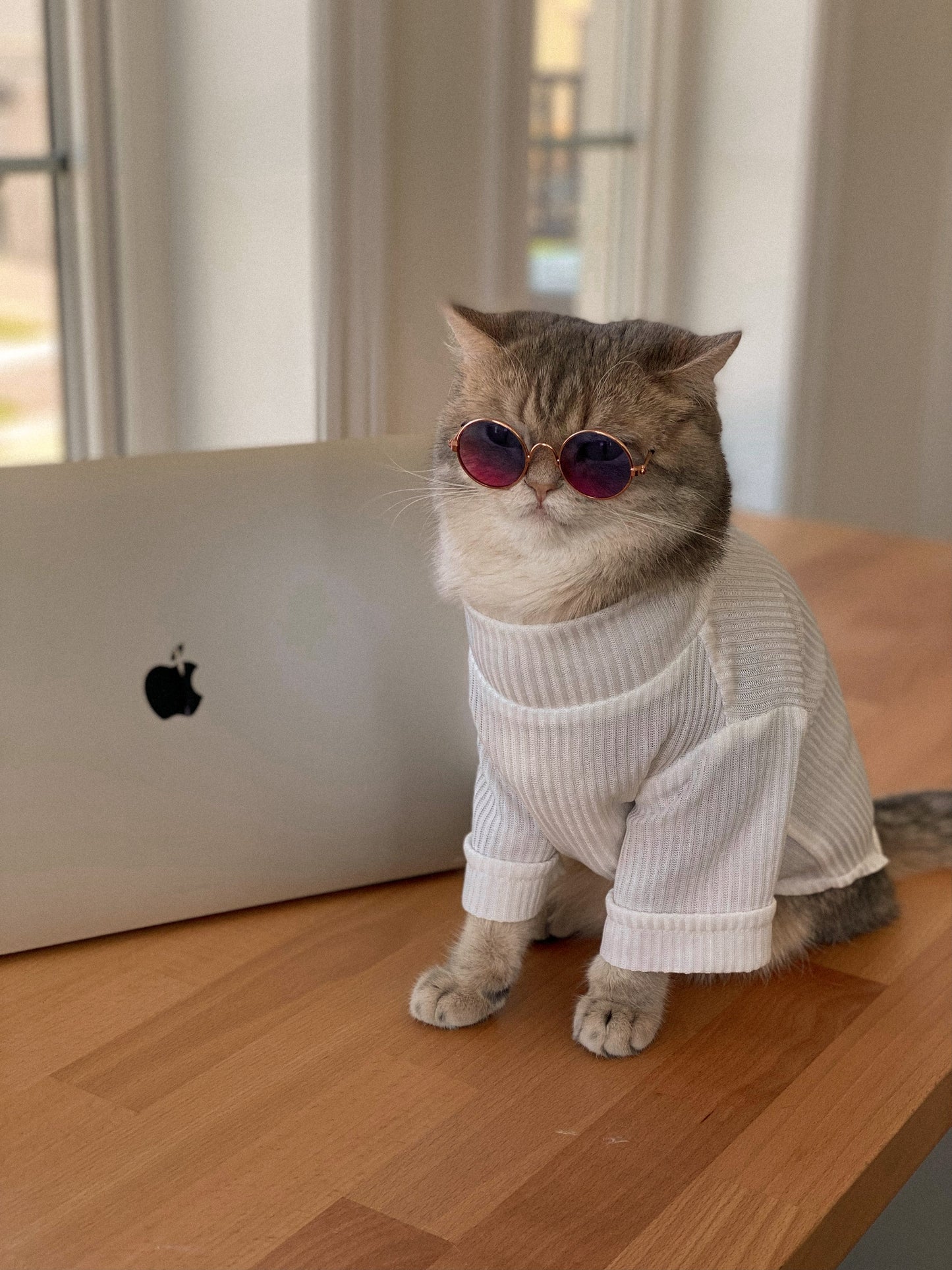 White Turtleneck