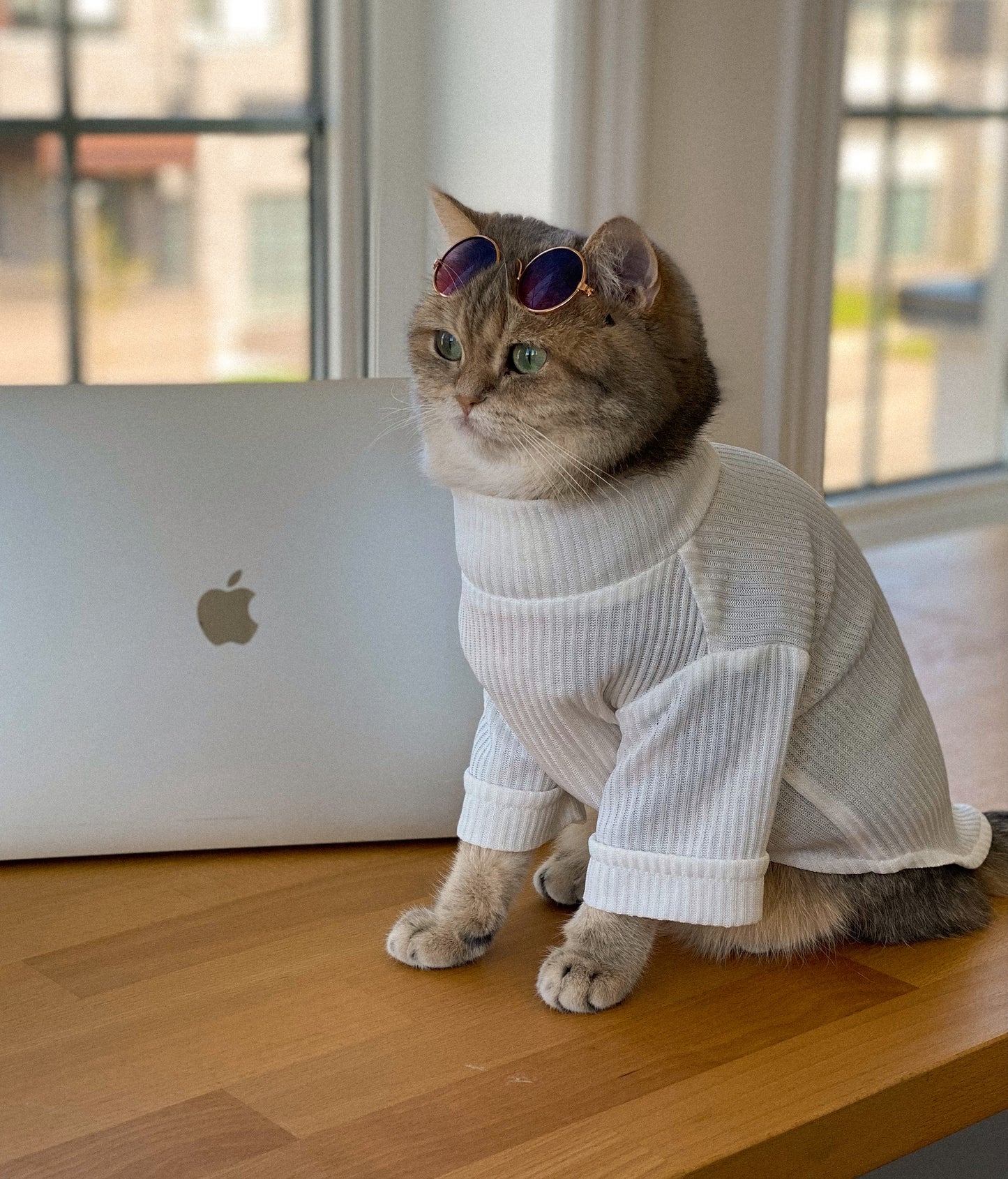 White Turtleneck