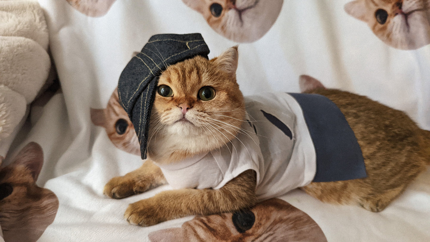 Denim Hat