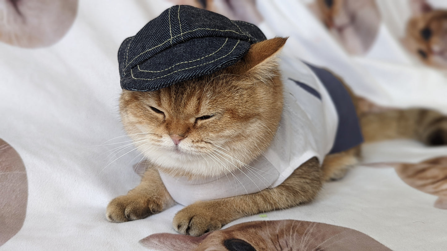 Denim Hat