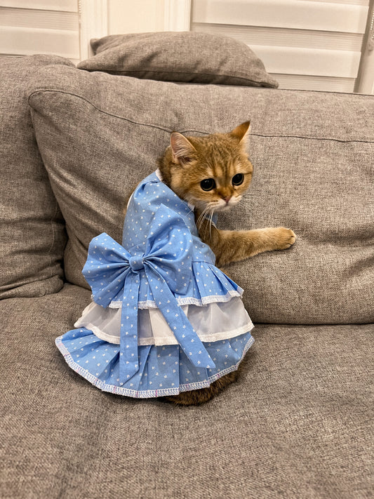 Dress 3