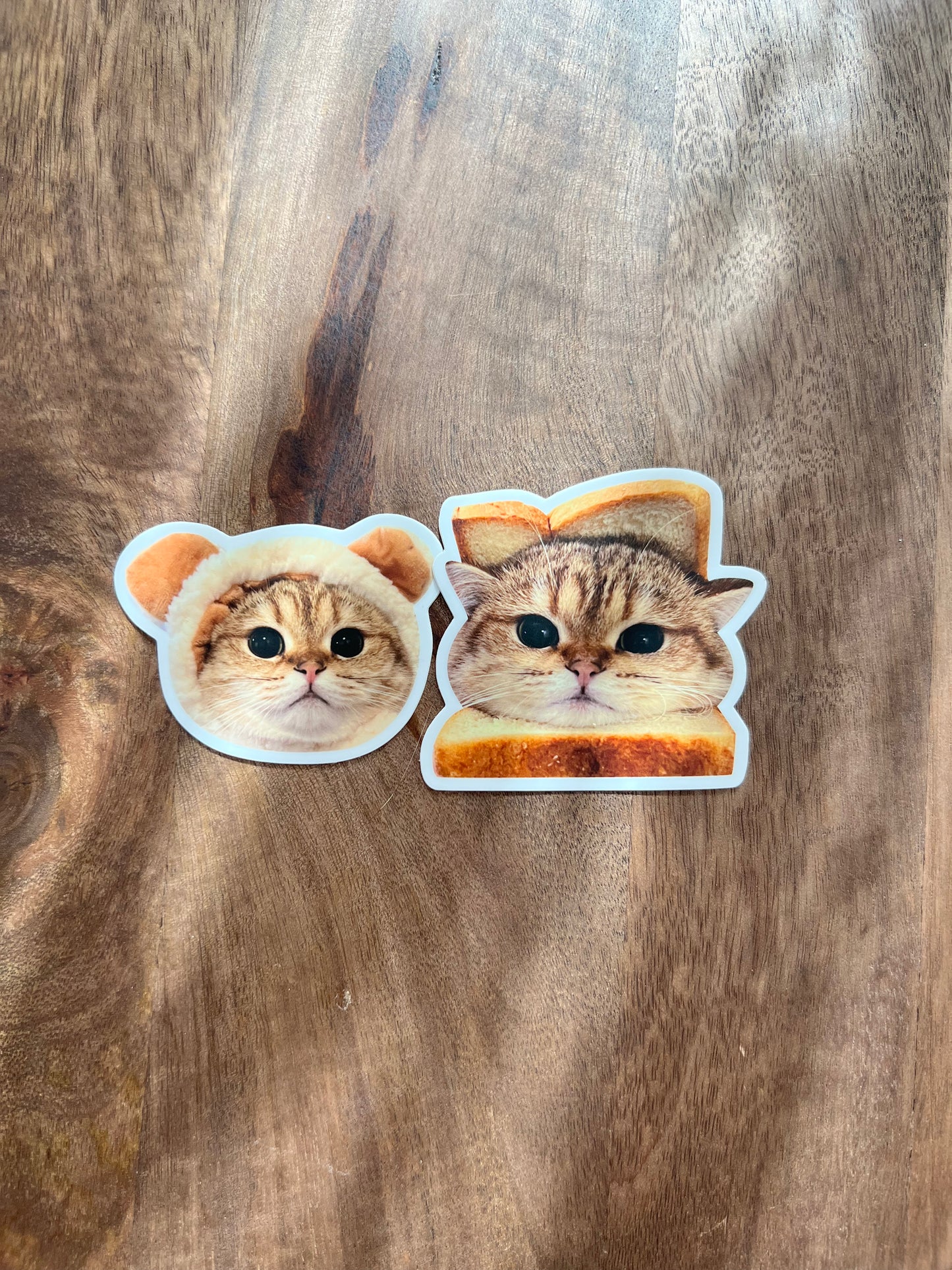 Papaya Only: Bread or Bear