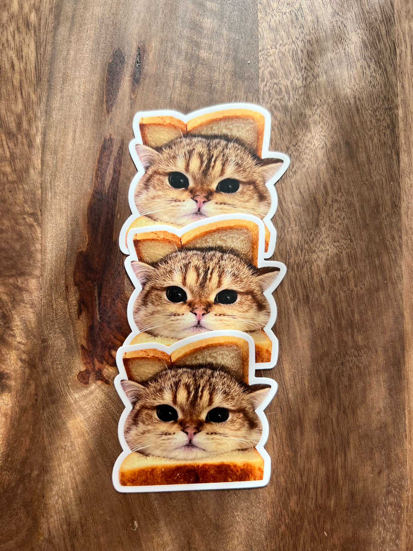 Papaya Only: Bread or Bear