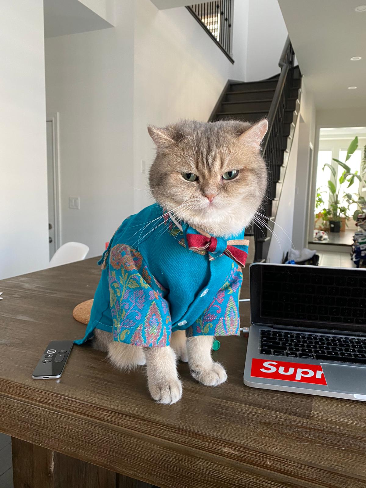 Custom Outfit