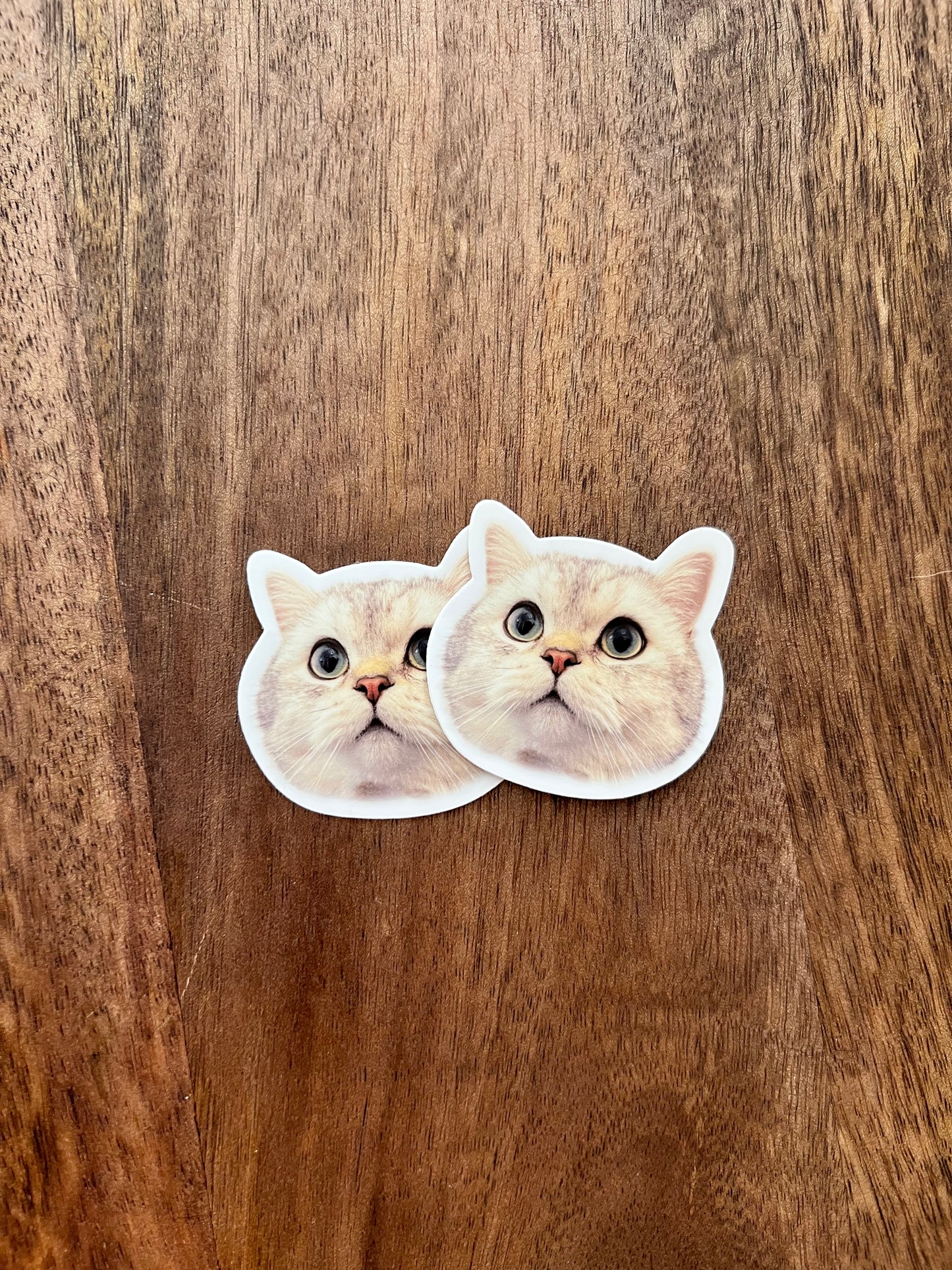 Ollie Only: 2 mini stickers or 1 halographic