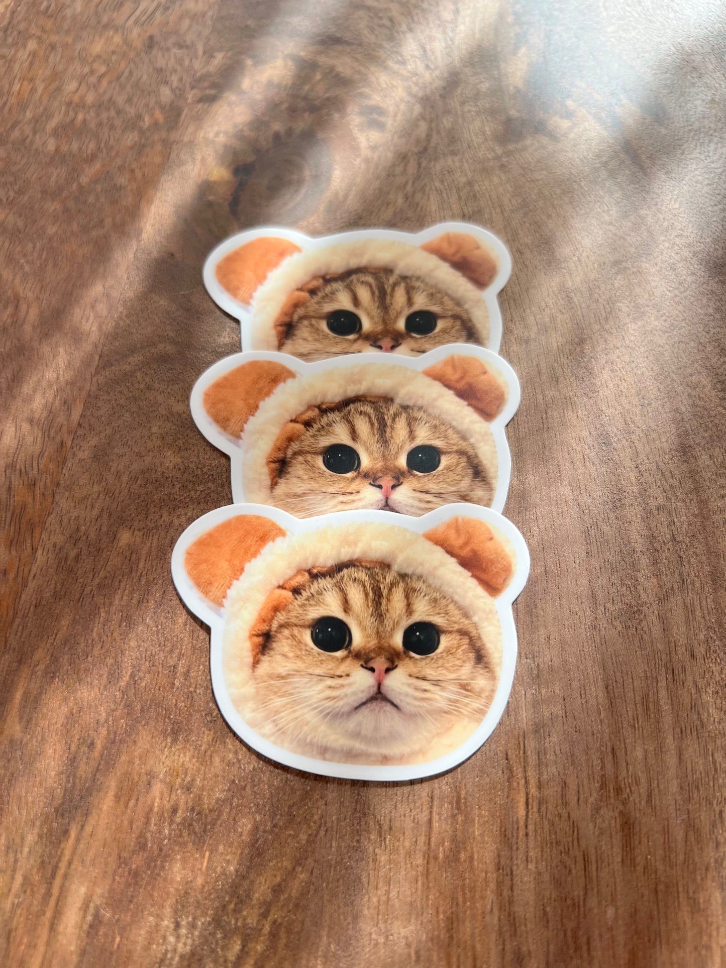 Papaya Only: Bread or Bear